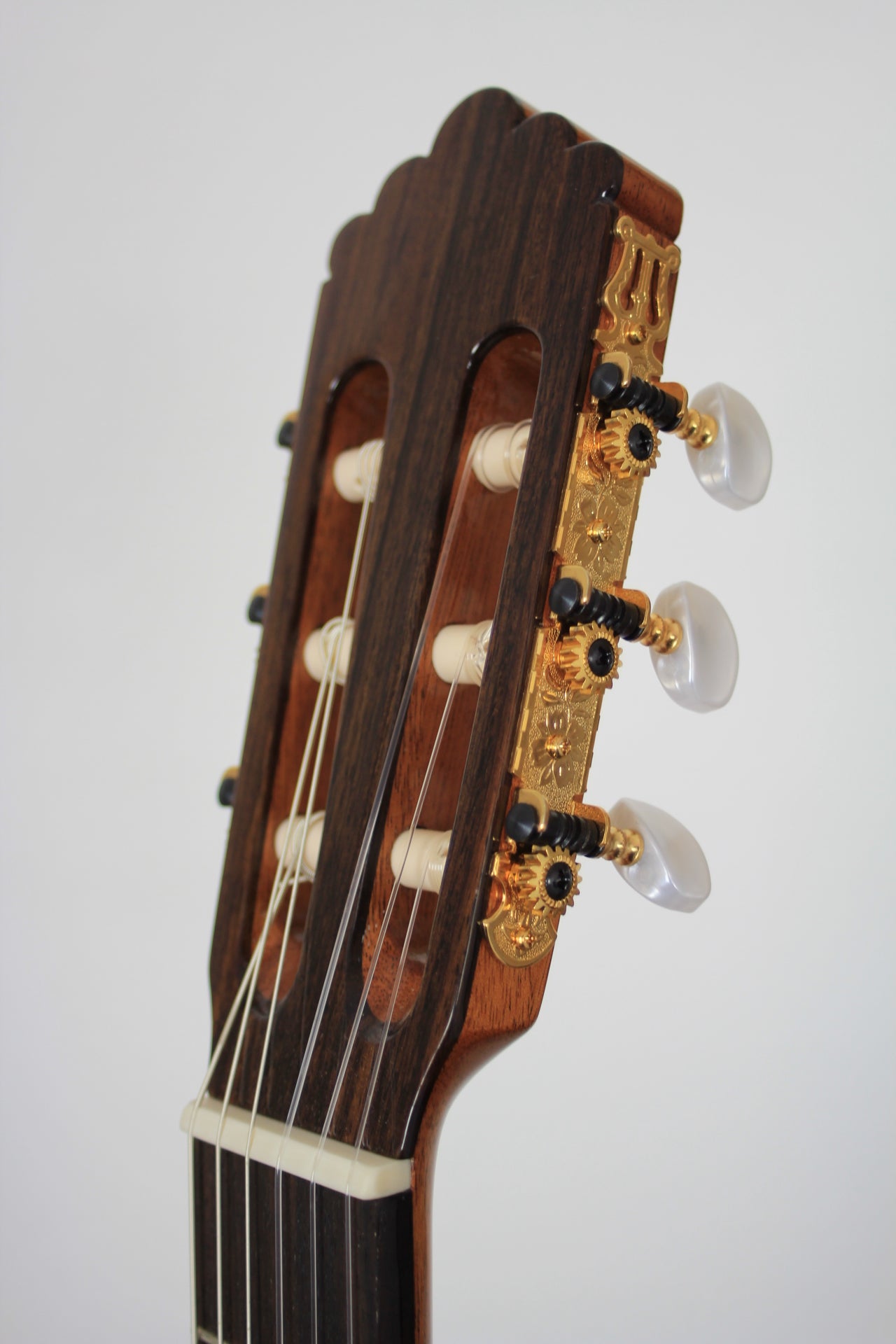 Altamira - N300