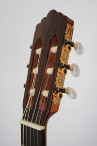 Altamira - N300