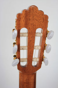 Altamira - N300