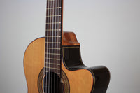 Altamira N300 CE