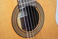 Altamira N300 CE