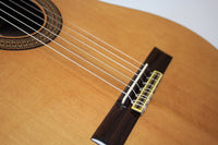 Altamira N300 CE