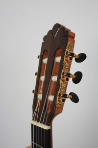 Altamira N600S