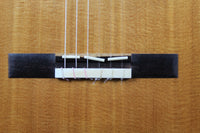 Norbert Ulbrich - 2003