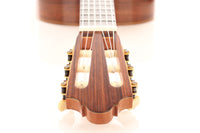 Martin Fleeson - 1984