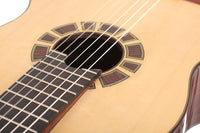 Slavko J. Mrdalj – 2014