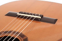 Gabriel Hernández Jimenez  - Requinto 2014