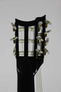 Gary Southwell Lacôte 10-string – 1984