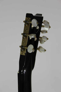 Gary Southwell Lacôte 10-string – 1984
