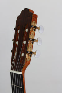 Paulino Bernabé - M5 2014