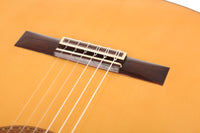 Paulino Bernabé - Concierto 2001