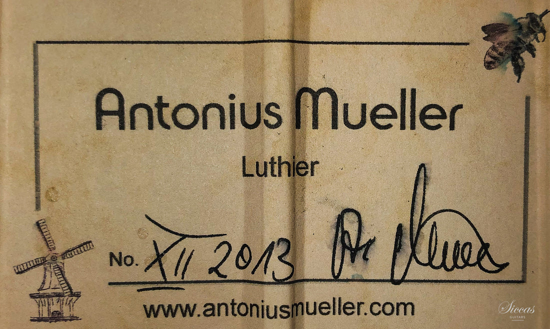 Antonius Müller - 2013 Doubletop