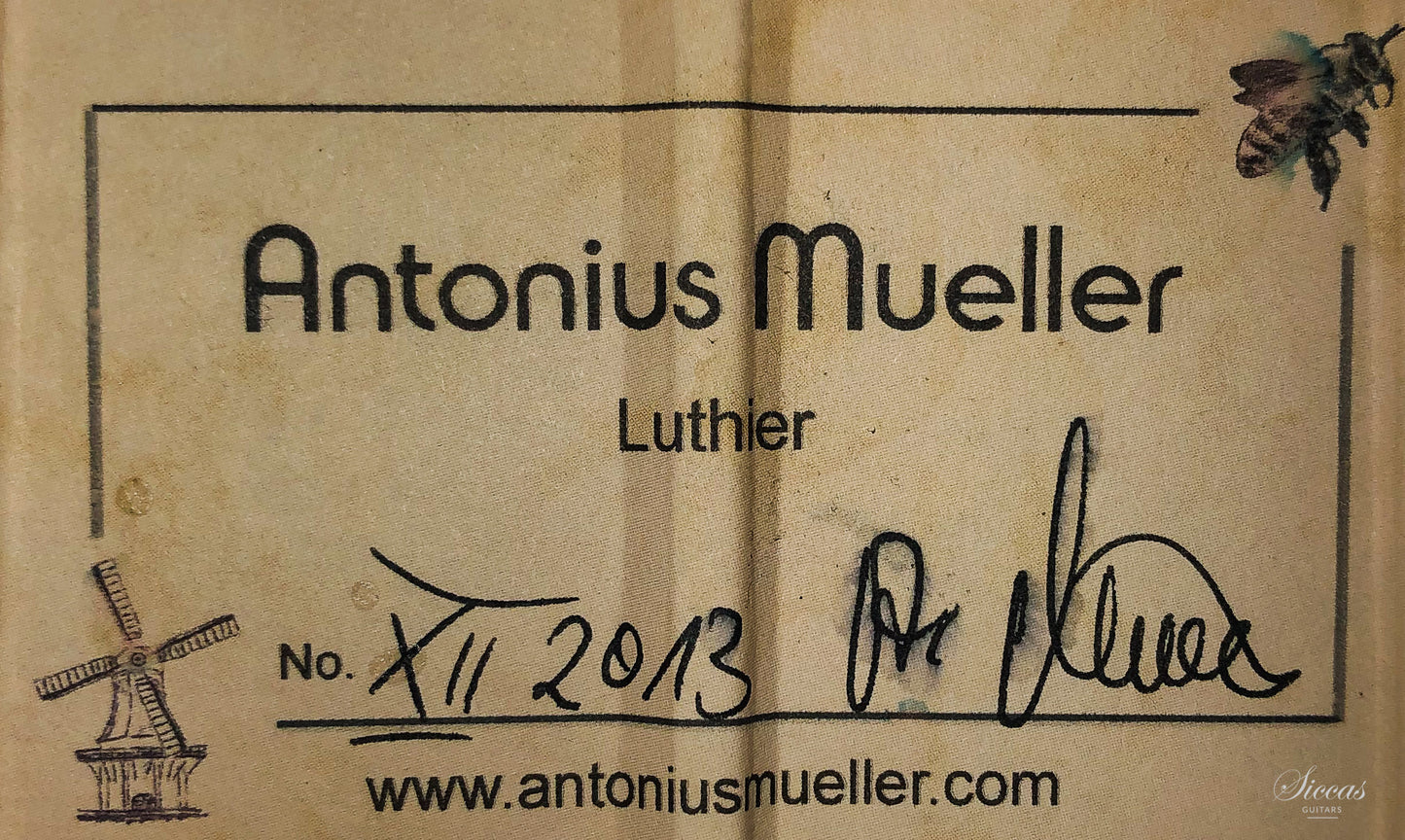 Antonius Müller - 2013 Doubletop