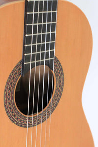 Ortega - R-180