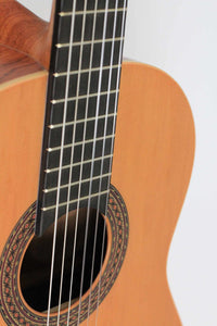 Ortega - R-180