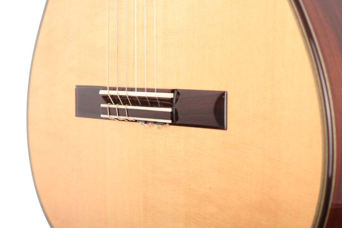 Hermann Hauser ® III - 2013