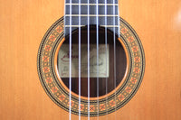 Antonio Picado Nr. 60 - 2004