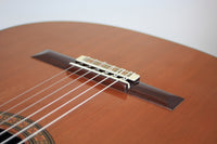 Antonio Picado Nr. 60 - 2004