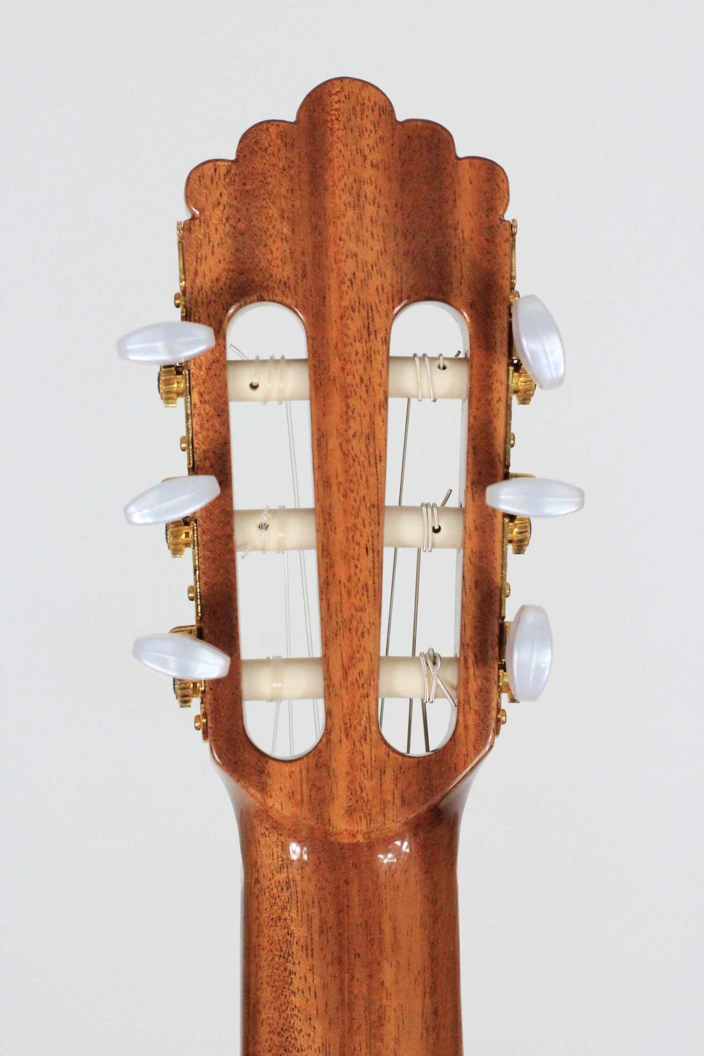 Altamira - N 300F Flamenco