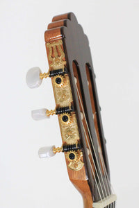 Altamira - N300S