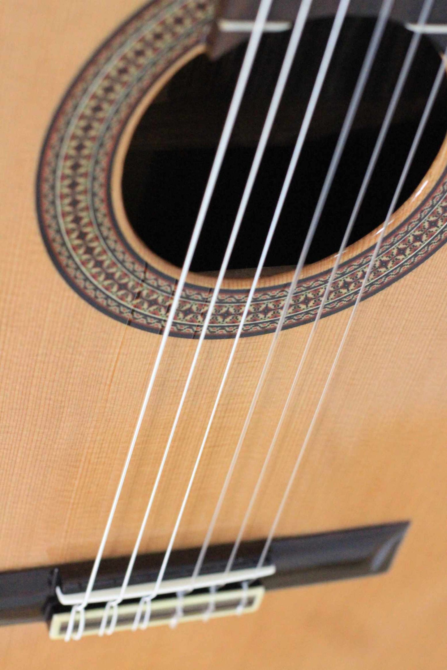 Altamira - N300S