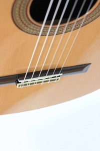 Altamira - N300S