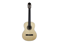 Ibanez - G10-NT