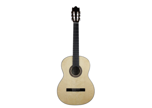Ibanez - G10-NT