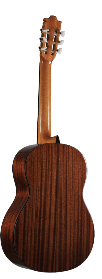 Ibanez - G10-NT