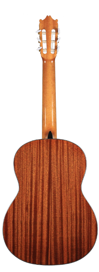 Ibanez - G10-NT