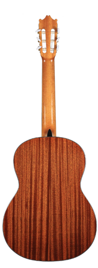 Ibanez - G10-NT
