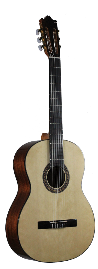 Ibanez - G10-NT