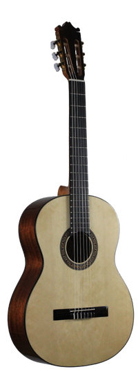 Ibanez - G10-NT