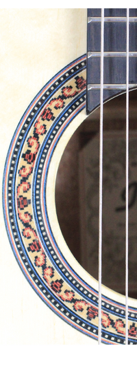 Ibanez - G10-NT