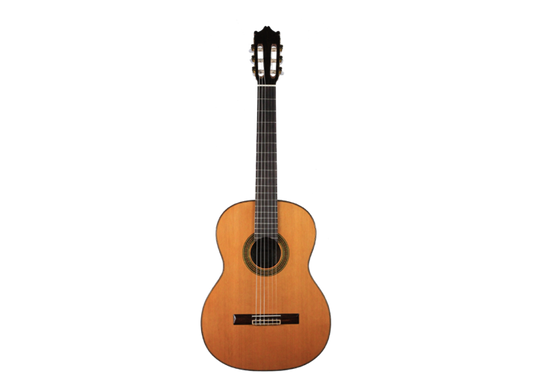 Ibanez - G300-NT