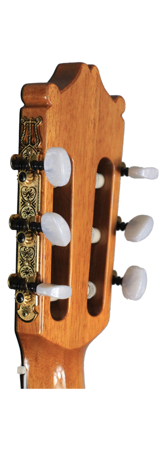 Ibanez - G300-NT img-2