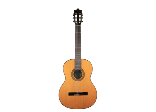 Ibanez - G500-NT