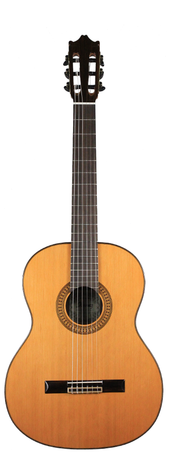 Ibanez - G500-NT img-2