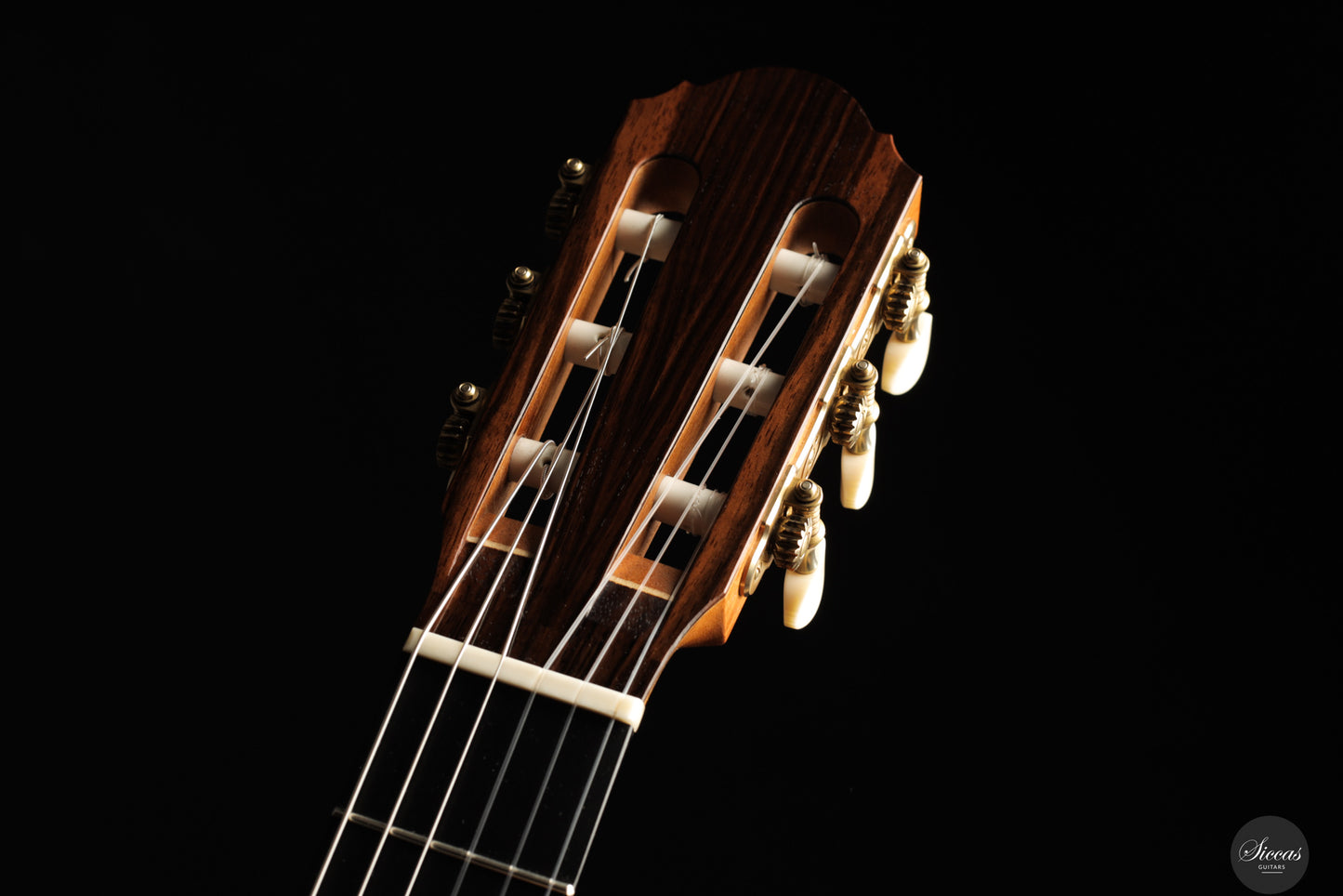 Ivan Bruna - 2023 64 cm