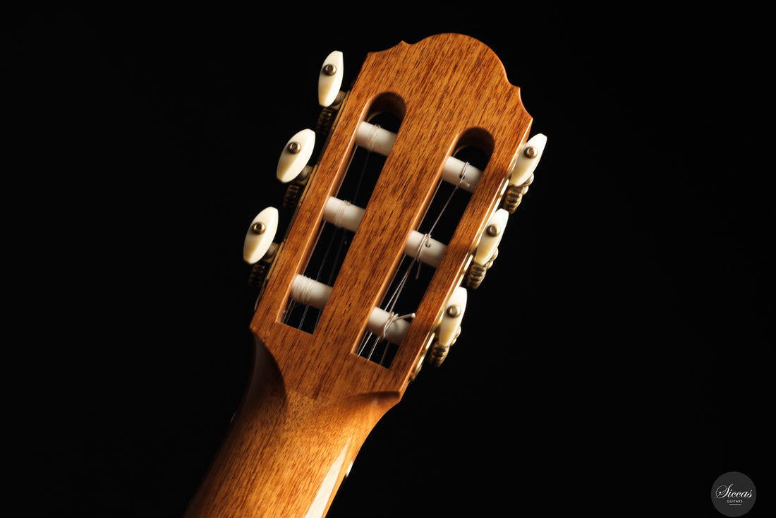 Ivan Bruna - 2023 64 cm