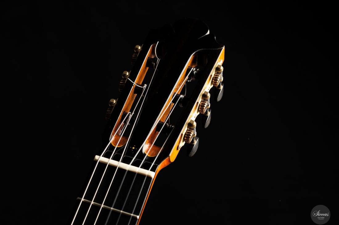 Jakob Lebisch - 2017