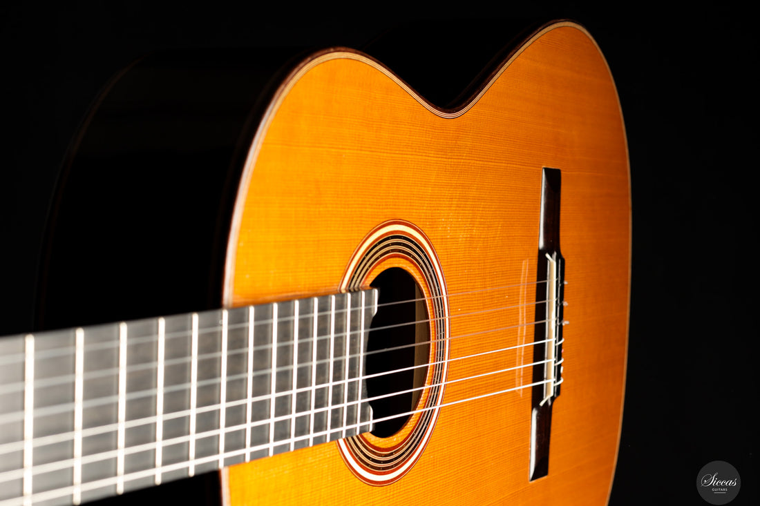 Jakob Lebisch - 2017