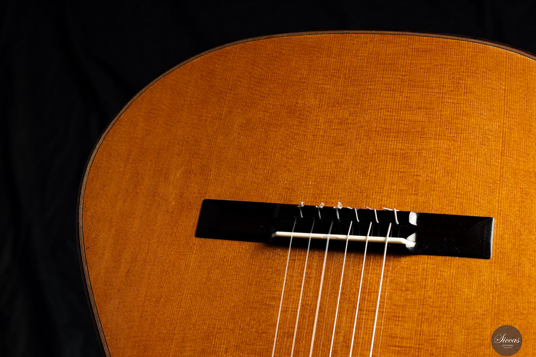 Jakob Lebisch - 2017