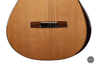 Jan Schneider – 2023 Zeder Doubletop Linkshand 64 cm