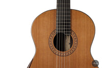 Jan Schneider - 2022 Doubletop No. 605 64 cm