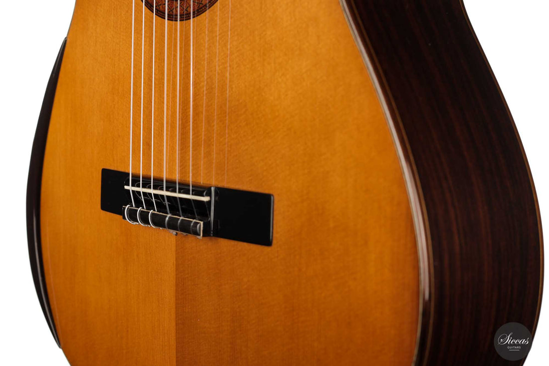 Jan Schneider - 2022 Doubletop No. 602