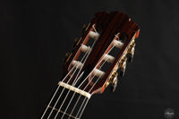 Jan Schneider - 2024 No. 699 Doubletop Spruce 64 cm