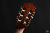 Jan Schneider - 2024 No. 699 Doubletop Spruce 64 cm