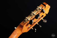 Jim Redgate - 2022 No. 505 „Ana Vidovic“