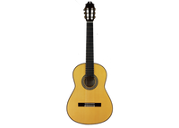 Juan Hernández - Profesional Flamenca 2015